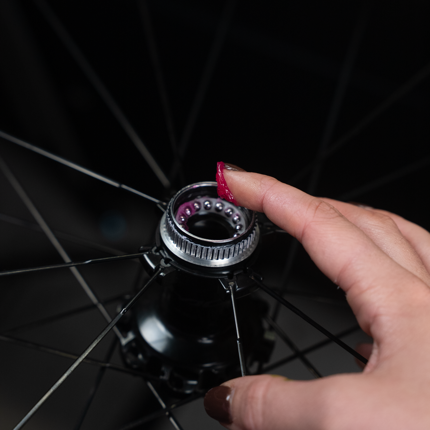 Bearing Pro