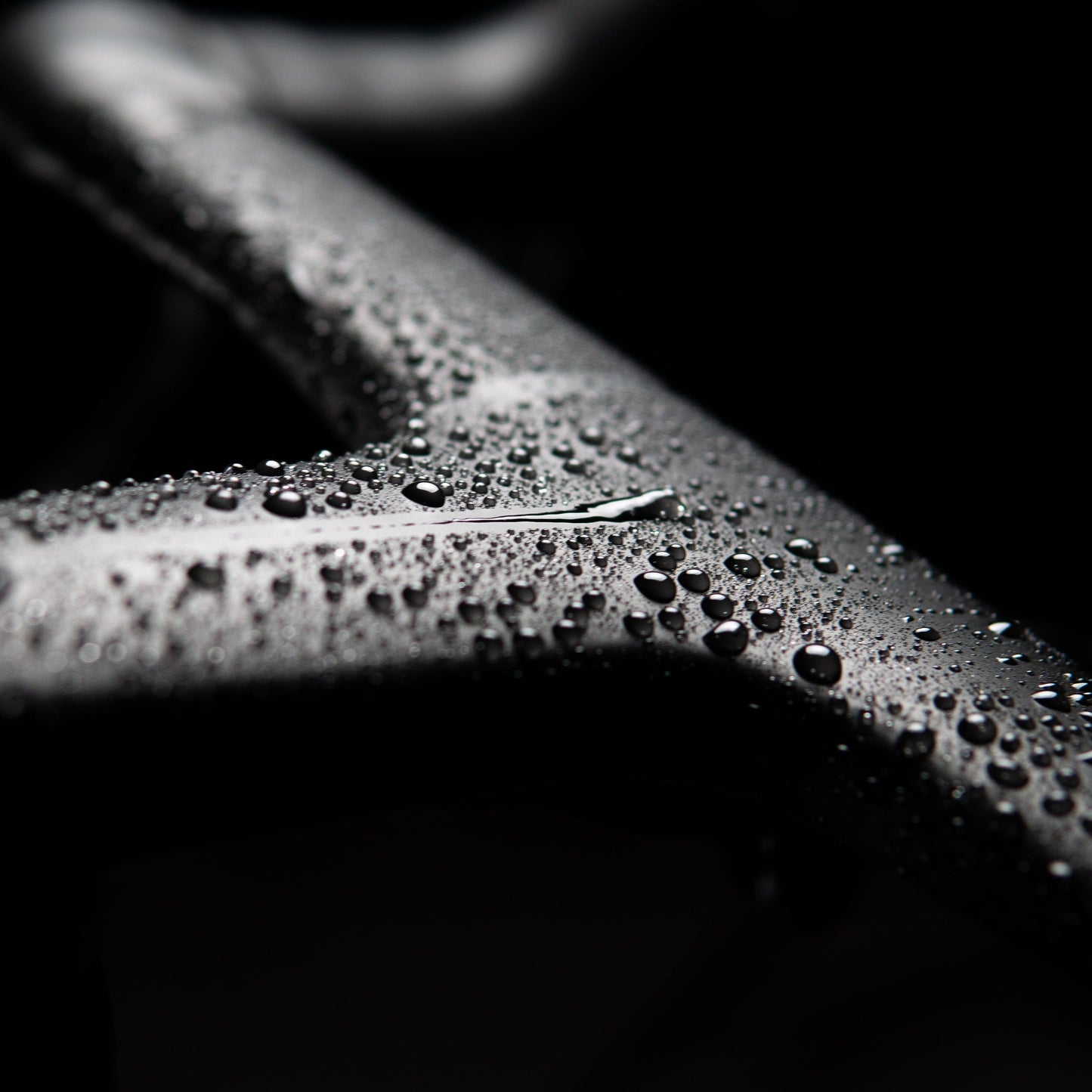 Secret Surface